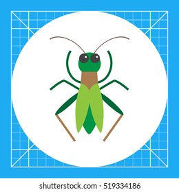 Green grasshopper icon
