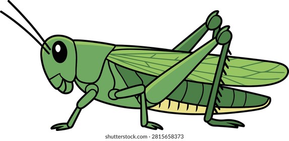 Green grasshopper insect character vector illustration