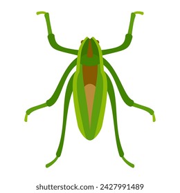 Green grasshopper insect flat style vector illustration