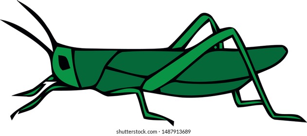 Green grasshopper isolated on a white background. Locusts. Pests of agriculture. Vector illustration.