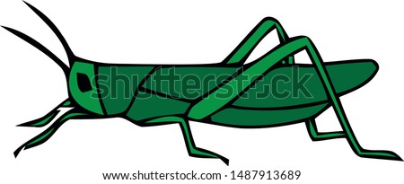 Green grasshopper isolated on a white background. Locusts. Pests of agriculture. Vector illustration.