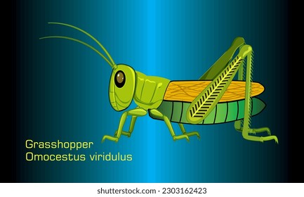 Green Grasshopper on abstract Background - Illustration