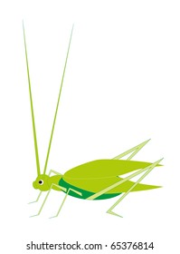 green grasshopper on white background