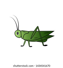 Green grasshopper vector icon on white background
