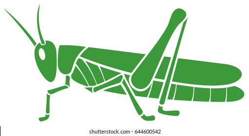  Green Grasshopper Vector Illustration