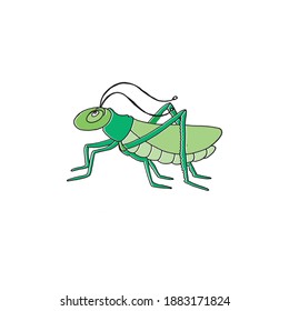 ilustración vectorial de saltamontes sobre fondo blanco. vector dibujado a mano.