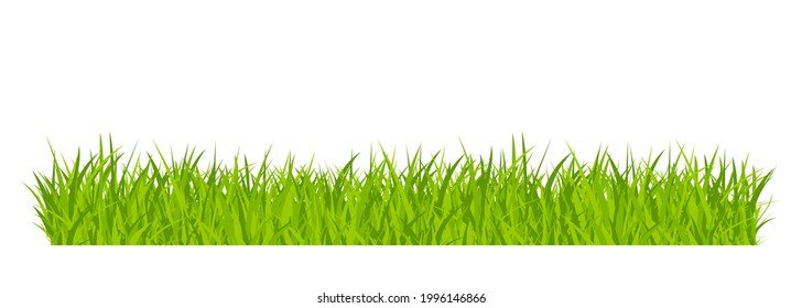 Green grassland lawn field border flat style design vector illustration isolated on white background. Cartoon summer green grass nature landscape field.