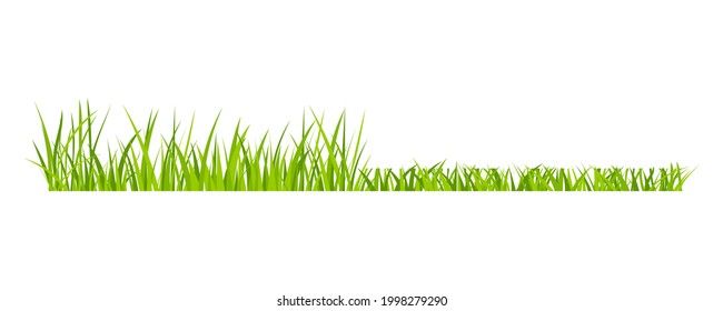 Green grassland lawn field border flat style design vector illustration isolated on white background. Cartoon summer green grass nature landscape field.