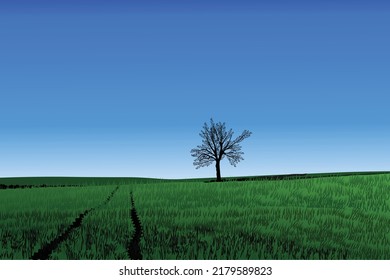 Green grassland with sky and blue sky landscape illustration. Full vector illustration in a fabulous place.