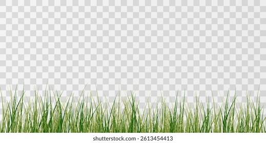 Green Grass,lawn vector Illustration.Vector bright green realistic seamless grass border 
