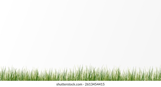 Green Grass,lawn vector Illustration.Vector bright green realistic seamless grass border 