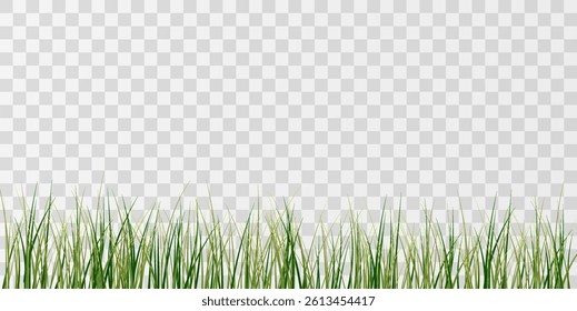 Green Grass,lawn vector Illustration.Vector bright green realistic seamless grass border 