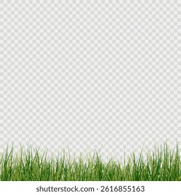 Green Grass,lawn vector Illustration.Vector bright green realistic seamless grass border
