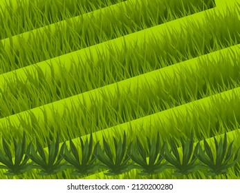 Green and Grassy Field Arkwork