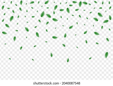 Vector transparente de fondo verde. Deja Una Ilustración Refrescante. Textura aislada. Tarjeta de cubierta Greenish. Ecología Foliage.