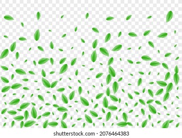 Green Greenery Background Transparent Vector. Leaf Forest Texture. Peaceful Design. Light Green Botanical Frame. Vegetation Figure.