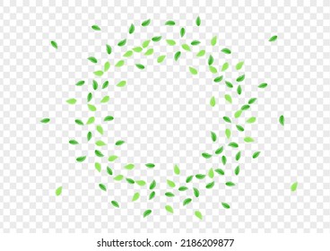 Green Greenery Background Transparent Vector. Plant Flora Card. Shape Frame. Light Green Watercolor Design. Vegetation Eucalyptus.