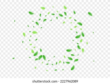 Green Greenery Background Transparent Vector. Vegetation Label Texture. Symbol Design. Greenish Wild Illustration. Foliage Grow.