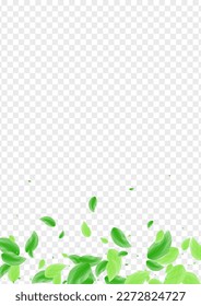 Green Greenery Background Transparent Vector. Sheet Wild Illustration. Wind Design. Greenish Selective Card. Plant Drink.