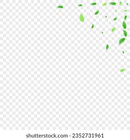 Green Greenery Background Transparent Vector. Vegetation Garden Frame. Flying Card. Light Green Sprout Illustration. Foliage Label.