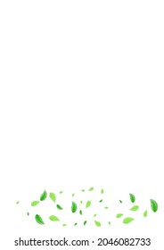Green Greenery Background White Vector. Vegetation Blend Card. Light Frame. Light Green Nature Illustration. Foliage Flavor.