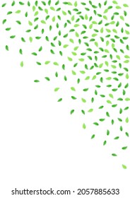 Green Greenery Background White Vector. Foliage Border Frame. Decoration Design. Greenish Pattern Texture. Leaves Botanical.