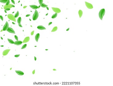 Green Greenery Background White Vector. Vegetation Rustic Frame. Twig Card. Greenish Creative Design. Leaf Watercolor.