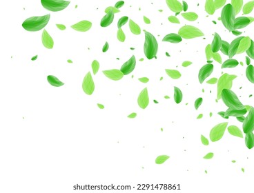 Vector blanco de fondo verde verde. Ilustración Sutil De Hojas. Diseño elegante. Textura de primavera de Greenish. Movimiento de hoja.