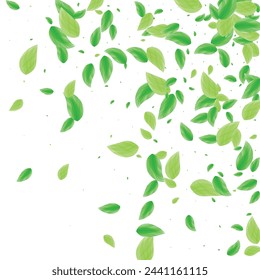 Green Greenery Background White Vector. Foliage Ecology Frame. Eco Illustration. Greenish Flavor Design. Leaf Realistic.