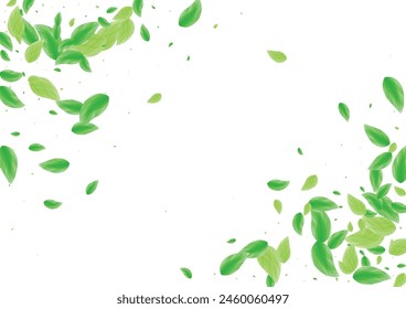 Green Greenery Background White Vector. Foliage Botanical Design. Light Illustration. Greenish Vitality Texture. Leaf Icon.