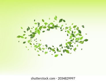 Green Greenery Blur Vector Green Background Border. Tree Leaf Illustration. Swamp Foliage Abstract Template. Leaves Ecology Banner.