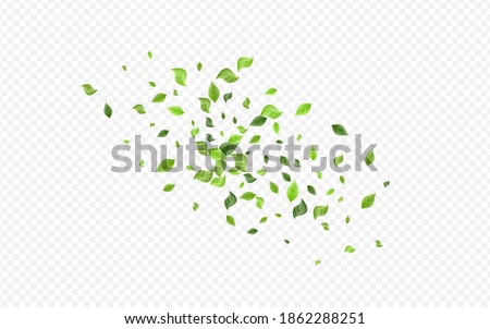 Green Greenery Forest Vector Transparent Background Branch. Flying Leaves Backdrop. Forest Foliage Fresh Plant. Leaf Organic Concept.