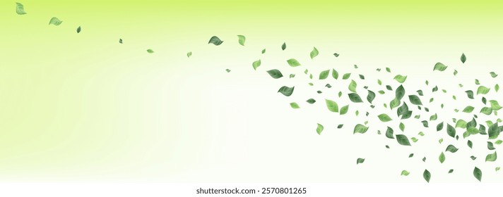 Green Greenery Herbal Vector Green Background Banner. Falling Leaf Wallpaper. Swamp Foliage Tree Illustration. Leaves Swirl Border.