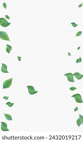 Green Greenery Realistic Vector Transparent Background Pattern. Nature Leaves Wallpaper. Grassy Foliage Organic Design. Leaf Wind Poster.