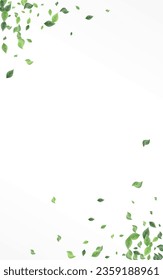 Green Greenery Wind Vector White Background Wallpaper. Herbal Leaves Branch. Mint Foliage Blur Banner. Leaf Organic Plant.