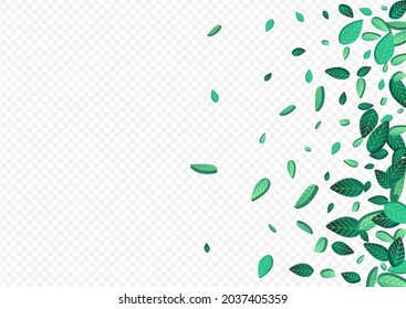 Green Greens Abstract Vector Transparent Background Banner. Swirl Foliage Concept. Forest Leaves Transparent Wallpaper. Leaf Wind Backdrop.