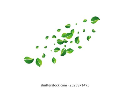 Green Greens Abstract Vector White Background. Transparent Leaf Concept. Swamp Leaves Motion Wallpaper. Foliage Tea Backdrop.