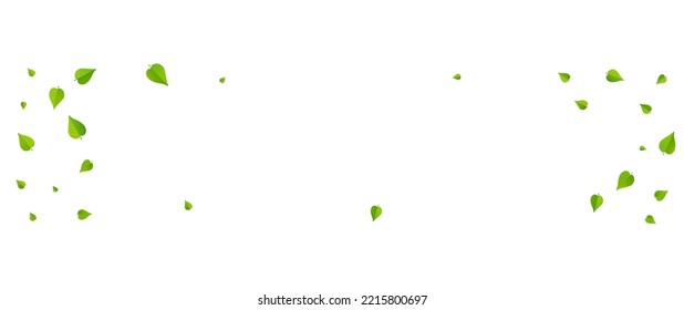 Green Greens Blur Vector Panoramic White Background Banner. Falling Leaves Illustration. Swamp Leaf Ecology Concept. Foliage Nature Border.