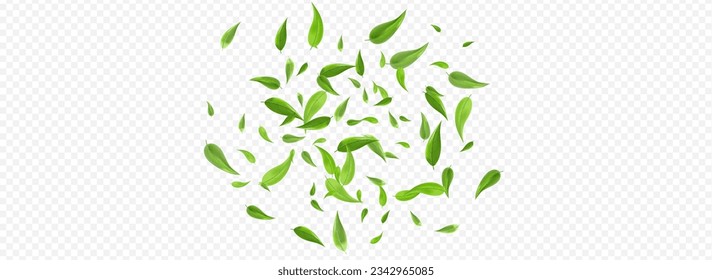 Green Greens Blur Vector Panoramic Transparent Background Banner. Nature Leaf Brochure. Lime Leaves Flying Template. Foliage Realistic Illustration.