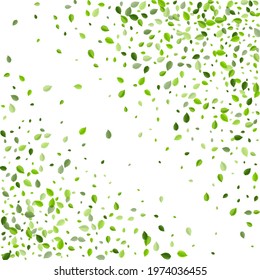 Green Greens Blur Vector Template. Spring Foliage Concept. Swamp Leaf Organic Plant. Leaves Flying Design.