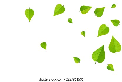 Green Greens Ecology Vector White Background Pattern. Flying Foliage Branch. Mint Leaf Tree Template. Leaves Swirl Banner.