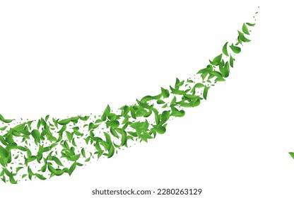 Green Greens Ecology Vector White Background Design. Realistic Foliage Poster. Mint Leaf Fly Brochure. Leaves Organic Border.