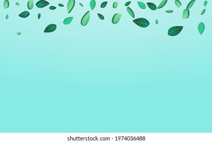 Green Greens Fly Vector Blue Background Illustration. Realistic Leaf Brochure. Mint Foliage Flying Poster. Leaves Fresh Concept.