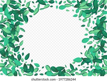 Green Greens Fly Vector Transparent Background Poster. Tea Leaves Backdrop. Mint Leaf Flying Background. Foliage Forest Plant.