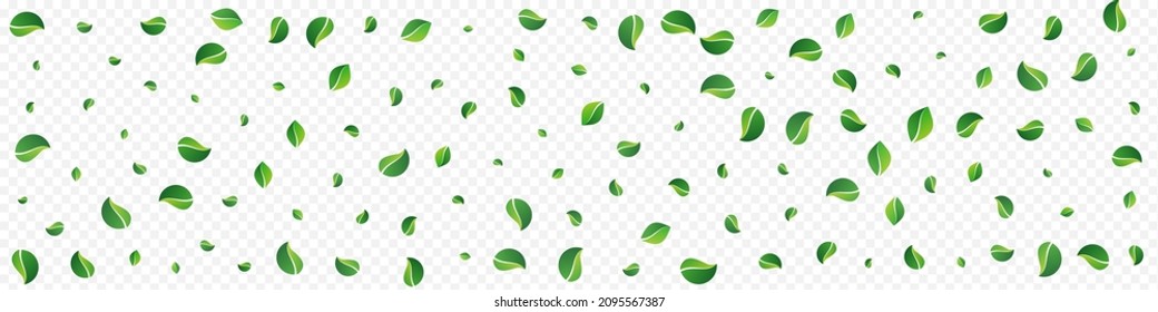 Green Greens Forest Vector Panoramic Transparent Background. Tea Leaves Pattern. Swamp Leaf Falling Plant. Foliage Abstract Brochure.