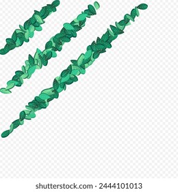 Green Greens Forest Vector Transparent Background Background. Swirl Leaf Banner. Olive Leaves Motion Wallpaper. Foliage Realistic Branch.