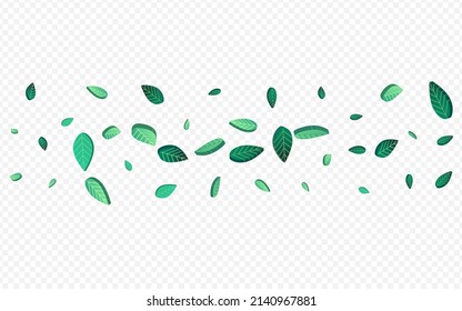 Grüne Grünen Frische, Vektortransparente Hintergrundgrenze. Waldleaf-Tapete. Die Broschüre "Forest Leaves Transparent". Blattfliegender Zweig.
