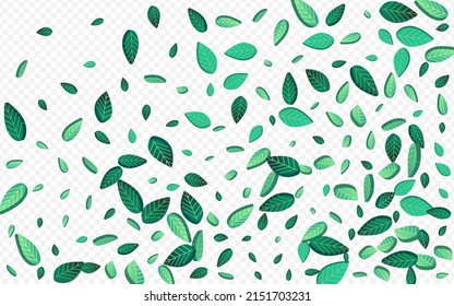 Grüne Grüne Frische Vektortransparente Hintergrundpflanze. Fallende Foliage-Tapete. Limonenleaf-Motion-Hintergrund. Blättert pflanzliche Vorlage.