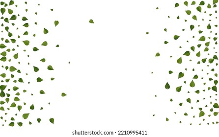 Green Greens Fresh Vector White Background Border. Realistic Foliage Backdrop. Swamp Leaf Wind Poster. Leaves Organic Design.