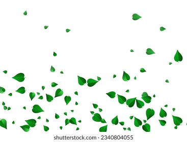 Green Greens Fresh Vector White Background Wallpaper. Abstract Leaves Brochure. Grassy Foliage Fly Backdrop. Leaf Transparent Pattern.